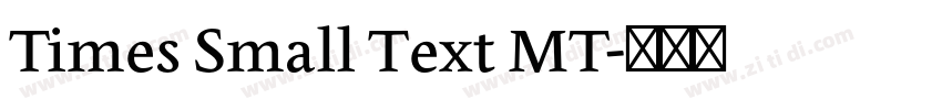 Times Small Text MT字体转换